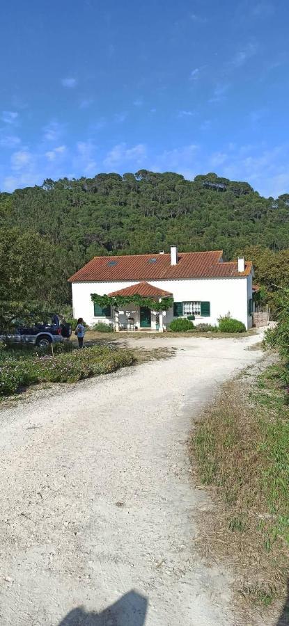 Al- Quinta Dos Carvalhais Rio Maior Exteriör bild